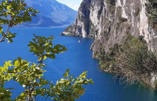 L Ora del Garda - Photo 38