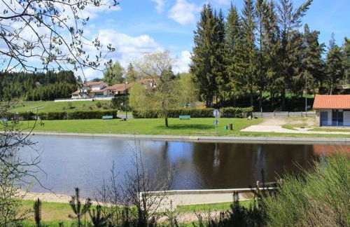 Chalet confortable avec cheminée et jardin, animaux acceptés - FR-1-496-164 - Foto 9