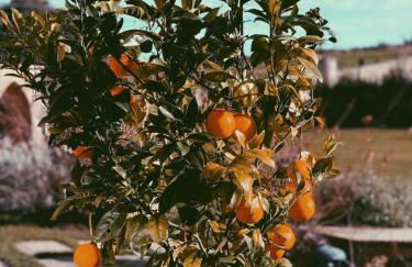 La Fuentona de Santillana - Foto 38