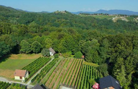 The Cozy Chalet - Foto 2