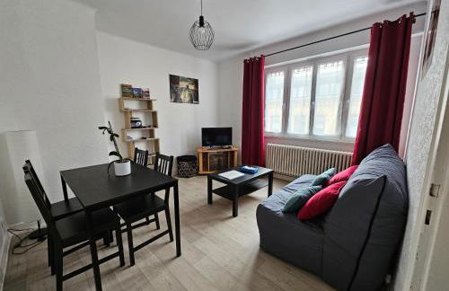 Le nid des cigognes à Colmar centre, proche gare, marchés de Noël - Foto 4