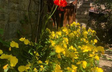 Πατρικό ολόκληρος ξενώνας entire stone guesthouse - Foto 8