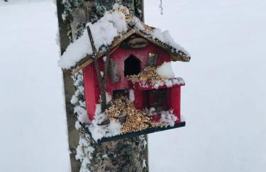 Gîte de la Mésange - Foto 38