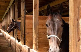 Farmhouse of Blessings - Foto 70