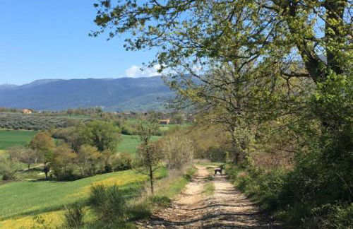 Casale Santomanno - Foto 29