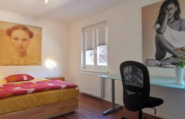 Südschwarzwald Ferienhaus für Gruppen & Monteure - Foto 46