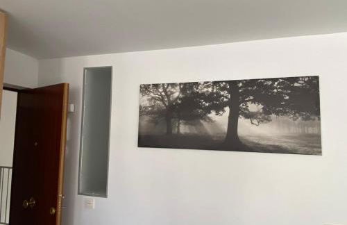 Sunny Cozy & Pretty Penthouse in Central SC - Foto 21