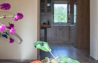 Matilda House - Foto 17