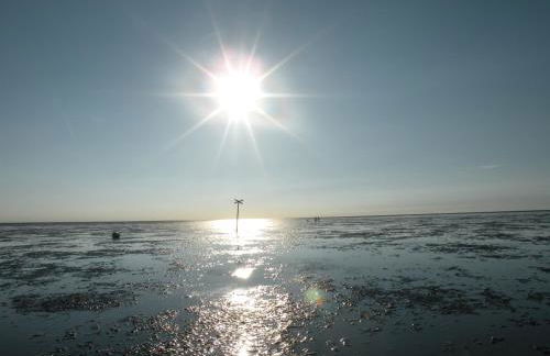 Altes Pastorenhus - Land und Meer - Foto 63