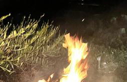 Beachfront Villa with Private Beach Access, Ocean Views, Pool, - Foto 22