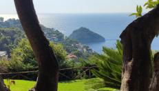 Il giardino sull'isola - Appartamento - Bergeggi - Foto 3, Garden view