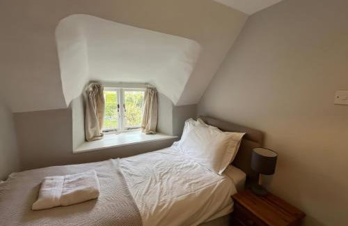 Little Ivy - Photo 12