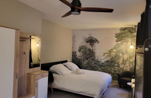 Ainay/centre Lyon/un cocon ! - Foto 25