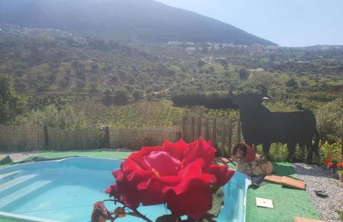 Casa papi - Photo 15