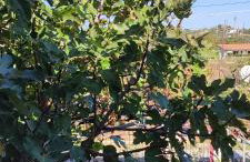 Maria's home - Foto 33