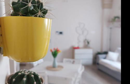 Fico Puglia - Foto 22