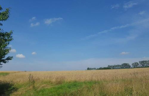 Apartamenty Holiday Slaw jacuzzi bilard - Foto 18