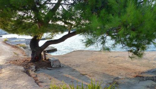 Apartment Mali Iz 16535b - Foto 5