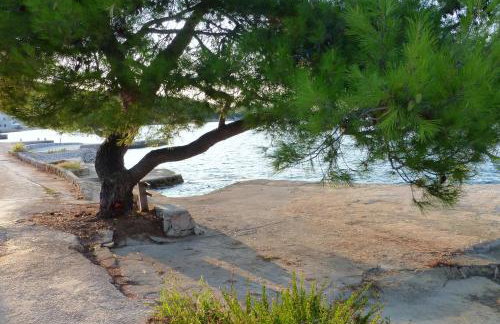 Apartment Mali Iz 16535b - Foto 5