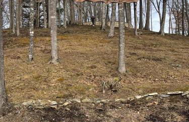 Fairytale: Hot Tub & Trout Stream & Petting Zoo? - Foto 20