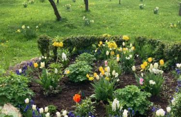 Forsthaus in Waldhessen - Foto 41