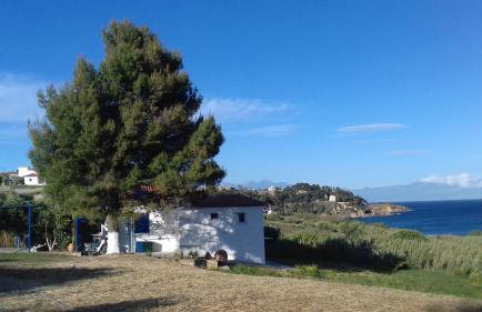 Margarita House - Photo 10