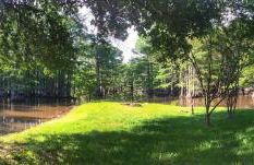 Lakefront Emerald Point wfirepit & kayaks - Foto 58