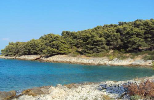 Apartment Žalo - Photo 21