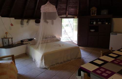 Pinnettu sardo tipica abitazione sarda in ecosistema insetti e animaletti simpatici in condivisione bagno esterno a 10metri Leggere attentamente Prima di prenotare - Foto 8