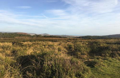 Bechan Brook Hut - Photo 10