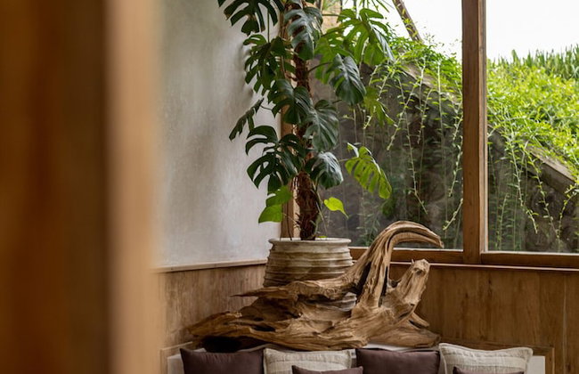 Casa Pohon Ubud - Foto 68