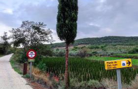 Masía de San Juan Casas número 3 y 5, con piscina, aire acondicionado y vistas a la montaña - Photo 42
