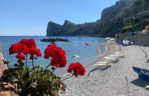 L'Angolo di Felicia - Foto 3