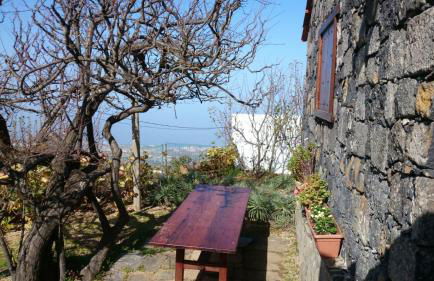 El pajar de Inés - Foto 21