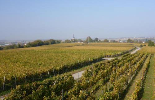 Ferienwohnung Weyl - Foto 21