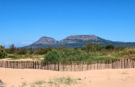 Trill Noray apartamentos - Foto 15