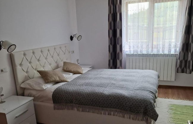 Bucovina-mountainhouse-5br-fireplace-hottub-wifi - Foto 3