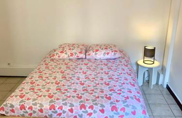 Studio Carcassonne Hyper Centre - Foto 5