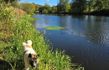 Schönes Apartment / Ferienwohnung am Regen - Foto 31