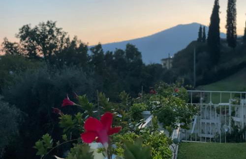 CHALET VELA Natura e Relax - Foto 55