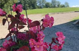 Villa La Baronne-Hauteurs de Beaulieu-sur-Dordogne - Foto 22