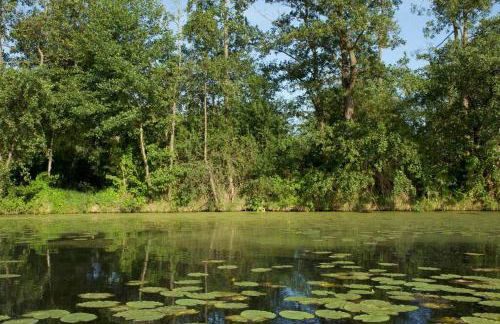 Ferienhaus mit Wintergarten am See (Angelparadies) - Foto 27
