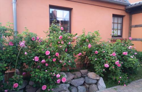 Dorfidyll Wendisch Priborn - Foto 6