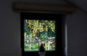 Primeiro Quartel Apartments - 4 - Foto 10