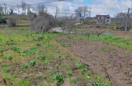 Retiro da perreira com churrasqueira - Foto 40