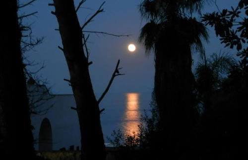 Agriturismo Salento D'Arare - Foto 42