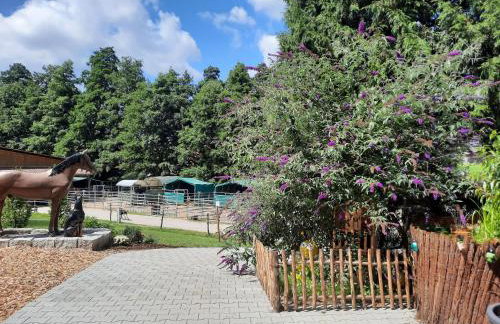 Ferienhaus auf dem Lusitanohof Jäger - Foto 3