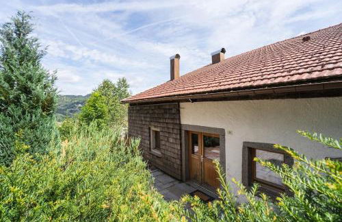 Aux Sources - 14 personnes - sauna & jacuzzi - Photo 17