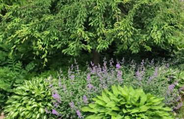 A Peaceful Oasis on Munjoy Hill - 3BR Cottage & Parking - Foto 9