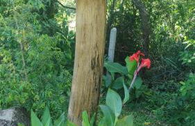 Espaço Isha Canelinha - Foto 51